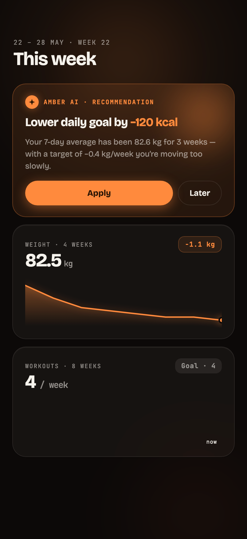 Amber Fitness — Insights